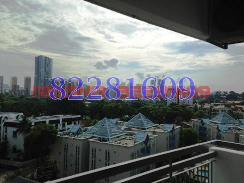 Jervois View (D10), Apartment #82081442